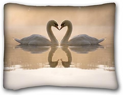 Custom ( Animal Swan ) Custom Zippered Pillow Case 20x26 inches(one sides) from Surprise you suitable for Queen-bed PC-Bluish-49969