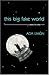 This Big Fake World: A Story in Verse (Pearl Poetry Prize Series)