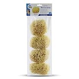 Baby Buddy Natural Wool Sea Sponge, Baby Bath