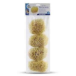 Baby Buddy Natural Wool Sea Sponge, Baby Bath