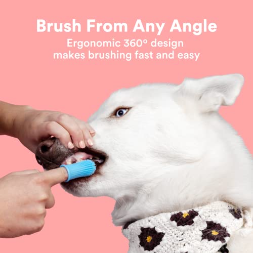 Jasper Dog Toothbrush 360º Dog Tooth Brushing Kit for Dog Teeth