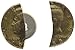 5ive Star Gear 5662000 Fifty-Cent Covert Knife