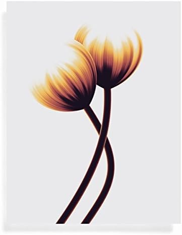 FLOWER Soundwave Art Print - Are We Dancing - Perfect Gift Ideas for Valentine's Day - 11 x 14 Unframed Illustrations for Music Fan or Home Decor swp 193