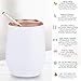 Premium Insulated Stainless Steel Wine Tumbler with Colored Lid and Straw | Matte Insulated Wine Glass | 18/8 Stainless Steel Insulated Wine Cup | Ceramic Interior