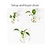 SWISSELITE Glass Hanging Planters Hanging Glass Terrariums, Plant Terrariums Set (2 Pack Wall)