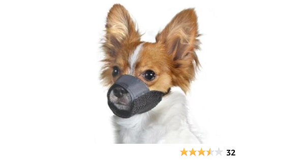 soft dog muzzle petco