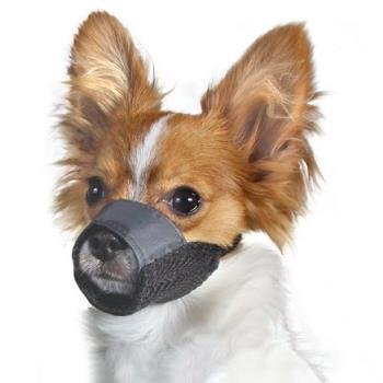 baskerville muzzle petco