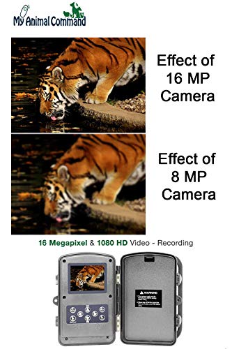MyCommand Solar Trail Camera 16MP Animal Game Time Lapse Cam with Night Vision Motion Activated, IP66 Waterproof 1080p Spy Outdoor Deer & Wildlife Hunting. (16MP Camera and Solar Power Pack Bundle)