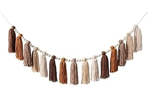 FASHION MODERN WORLDLYDA WORLDLYDA Boho Tassel Garland Terracotta Rainbow Tassel Wall Hanging Decor for Spring Party Classroom Nursery Kids Bedroom Dorm Office Birthday Baby Shower Wedding Home Decor (LS01-Terracotta)