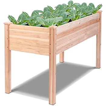 Amazon.com: Keter Easy Grow Patio Garden Flower Plant 