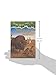 Bufalos Antes Del Desayuno / Buffalo Before Breakfast (La Casa Del Arbol / Magic Tree House, 18) (Spanish Edition)