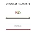 Big Magnetic Dry Erase Labels Name Plates White Board 32 Labels 8 Colors,5.5