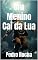 Livro Um Menino Cai da Lua