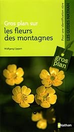 Fleurs des montagnes