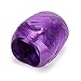 Aladdin Jasmine Party Supplies Featuring Aladdin Balloons, Jasmine Balloons and WGIS We Got It Shop Printed Happy Birthday Ribbon