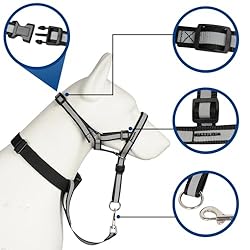 Reflective Head Collar, No Pull Collar for Small