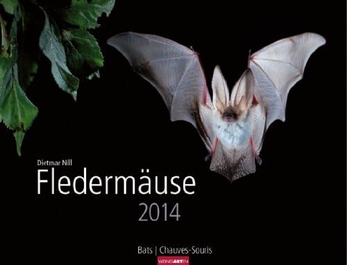Bats - Calendar 2014 - Photo Calendar - Wall Calendar 45.0 cm X 34.5 cm