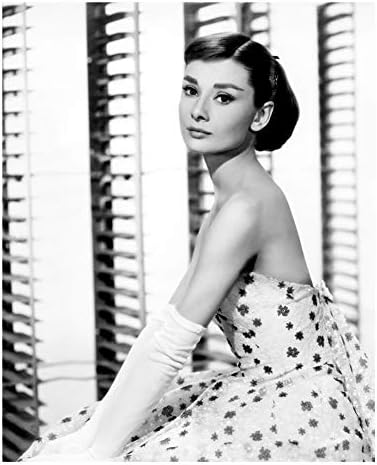 Van Eyck Audrey Hepburn Canvas Print Wall Art for Living Home Decoration（20x28 inch unframed）