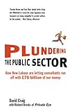 Plundering the Public Sector: How New Labour are Letting Consultants Run off with GBP70 Billion of Our Money cover