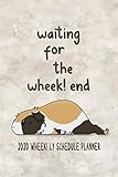 Waiting For The Wheek! end 2020 Wheek! ly Schedule Planner: Cute Guinea Pig Pun Weekly Schedule Plan by Patricia N. Hicks, Talex Hicks
