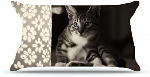 Hubery King Size 20X36 PillowCase Inches Cotton Pillowcases Decorative Pillow Cover with Hidden Zipper Decor Cushion Covers - Animals cat night light Sitting cat monochrome lamp black and white flowe