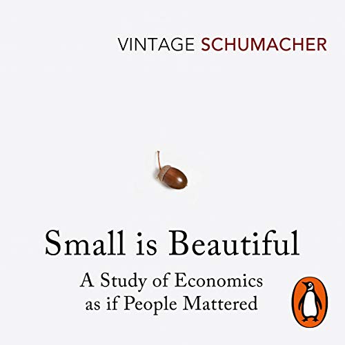BEST Small Is Beautiful: A Study of Economics as If People Mattered D.O.C