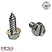 License Plate Screw Kit - Set of 4 Stainless Steel Screws for Front and Back License Plates, Frames and Covers on Domestic Cars, Trucks, SUVs - Rustproof, Self Tapping Mounting Bolts (Stainless Steel)