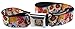 Sugar Skulls Thaneeya Seatbelt Belt Starburst White Multi Color
