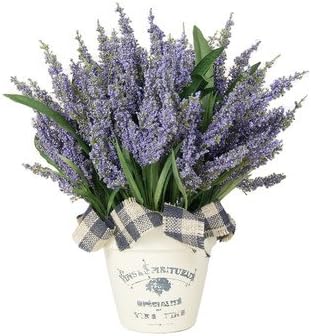 Lavender Heather Desk Top Plant French Clay Pot