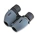 Carson GreyHawk 10-30x 21mm Compact Zoom Binocular (CZ-021)