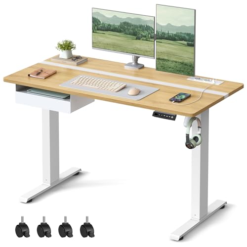 VASAGLE Höhenverstellbarer Schreibtisch elektrisch, 120 x 60 cm