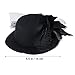 Pixnor Women's Ladies Flower Decor Hair Clip Feather Fascinator Burlesque Punk Mini Top Hat - One Size (Black)