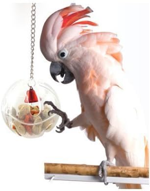 Difunisea Parrot Foraging Systems Foraging Wheel -Hapaus for Parrot Macaw African Greys Budgies Parakeet Cockatiel Conure Cage Toy