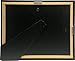 Creative Picture Frames [CL8.5x11bk] Black Double License Business Frames for Professionals 8.5 by 11-inch Frame w/Mat, Self Standing Easel Back and Hanger