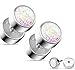 16GA 316L Stainless Steel Synthetic Glitter Opal Fake Cheater Plug Earrings, Sold as a Pair (White)