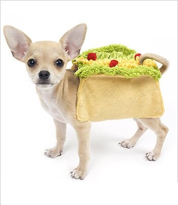 Taco Deluxe Costume for Dogs by Puppe Love