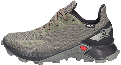 1 Salomon+ALPHACROSS+Blast+CSWP+Oli