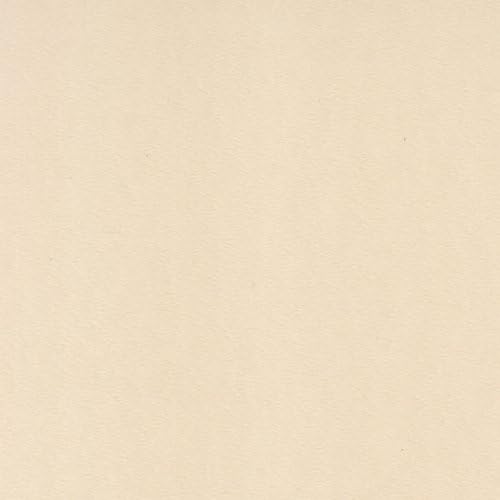 Pastel Premier Sanded Pastel Paper - Sheets - Medium Grit - Buff 26"x20" 10 Sheet Pack