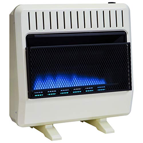 Avenger, Dual Fuel Vent Free Blue Flame Heater - 30,000 BTU