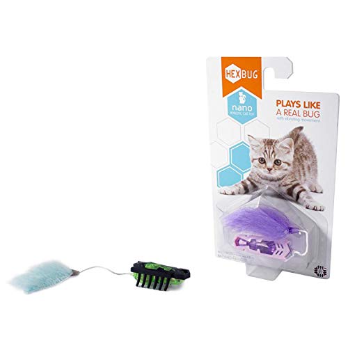 hexbug mouse cat toy
