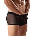 Mens Sexy Underwear Breathable Mesh Boxer Briefs See Through Hollow Lingerie