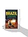 Brazil: The Troubled Rise of a Global Power