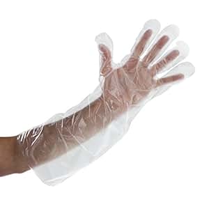 Amazon.com: Royal Elbow Disposable Poly Gloves, 21.5