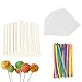 6 Inch Cake Pop Sticks Set Pack of 300, Each of 100 Pieces Parcel Bags, Treat Sticks and Colorful Metallic Wire for Lollipops Candies Chocolates and Cookies