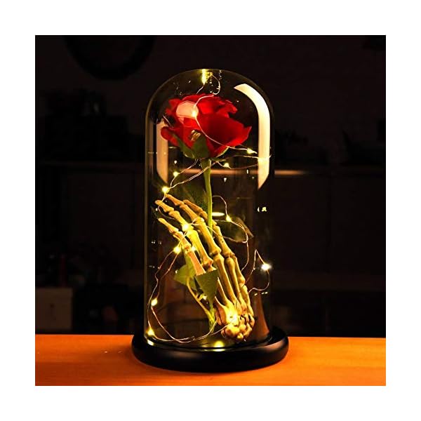 Norbi Beauty And The Beast Rose Skull Hand Led Light With Eternal Flower Rose In Glass Dome On Paint Base Gift For Valentine S Day Christmas Wedding Anniversary Birthday Silk Flower Norbi Beauty And The Beast Rose Skull Hand Led Light With Eternal Flower Rose In Glass Dome On Paint Base Gift For Valentine S Day Christmas Wedding Anniversary Birthday Silk Flower