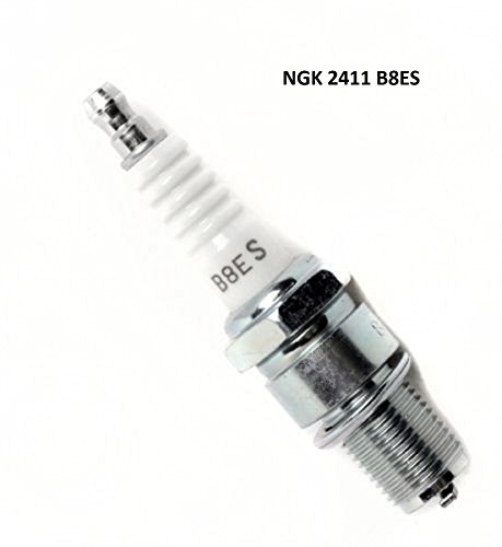 ATV Spark Plug