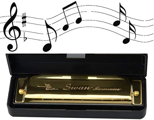 New Swan Key of C/G 10 Holes 20 Tone Diatonic Harmonica Silver for Student(Gold,Key of G)