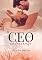 Livro O CEO E A CADEIRANTE