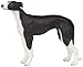 Greyhound