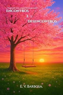 Livro Encontros e Desencontros